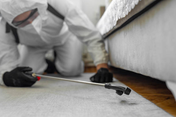 Professional Pest Control technician working in Pickaway County County, OH